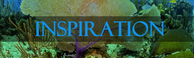 Diving inspiration