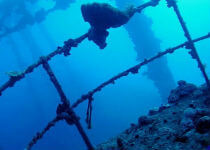 IJN Fujikawa Maru